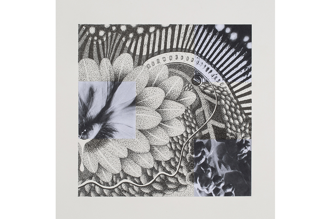 abstract drawing of flowers blending with photographs